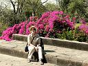 in_0222_07291_j_a