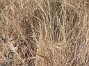 in_0224_05041_j