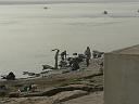 in_0219_04130_j
