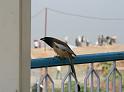 in07_102714283_j_ac