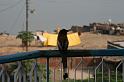 in07_102714291_j