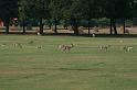 in07_101710530_j