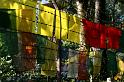 in07_101914442_j_a