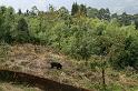 sikkim_zoo