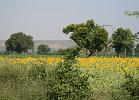 in09_103109490_j