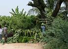 in09_102912580_j_ca