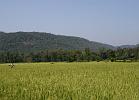 in09_110313510_j