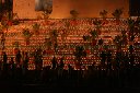 in10_112118081_j_b