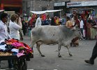 in10_112817020_j