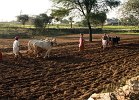 in10_120315482_j_a