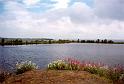 IE97_14_lough_neagh_a