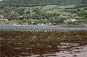 IE97_17_carnlough_2a
