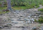 Saltoluokta (2)