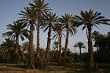 ma10_032117340_j