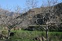 ma10_032516590_j