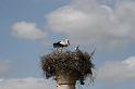 ma10_033113261_j