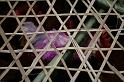 ne08_100610360_j