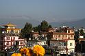 ne08_101307161_j