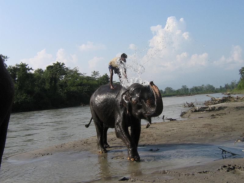 ne08_101114421_s.jpg - Another shower