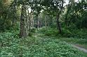ne08_101016350_j
