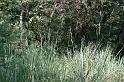 ne08_101109210_j