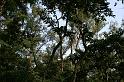 ne08_101109240_j