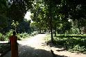 ne08_101911001_j