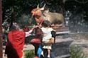 ne08_100811111_j