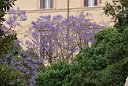 si13_051616280_s_a