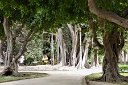si13_051616282_aaa_s