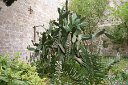 si13_051815490_s