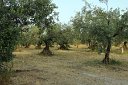 si13_052018220_j