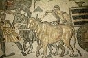 si13_052411291_j_a