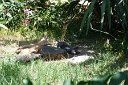 si13_052510060_s