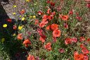 si13_052510321_s