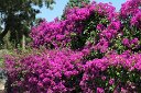 si13_052711041_j
