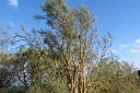 si13_052916540_s