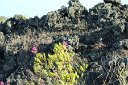 si13_052917032_j