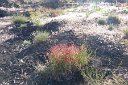 si13_052917060_s