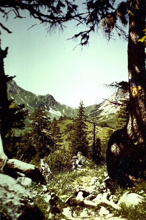 br84_amatschonjoch_01_b.jpg - And yet another view towards the Joch, this time from the Gulmasteig. Another old picture from 1984.