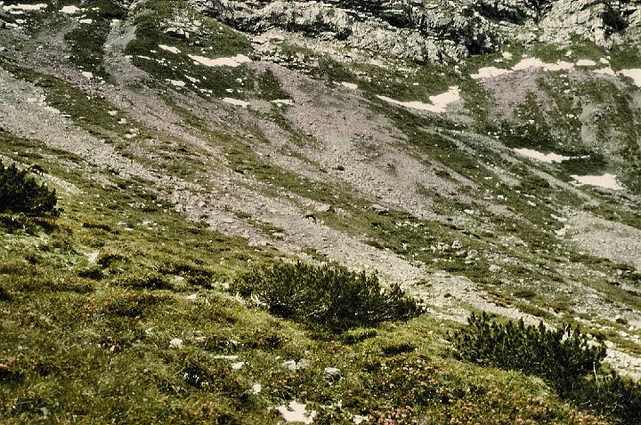 br89_gulmasteig_05x_a.jpg - The scree coming off the mountains on the far side of the valley where mountain goats roam around, happily grazing in this high area that drops down into Lorenzital.