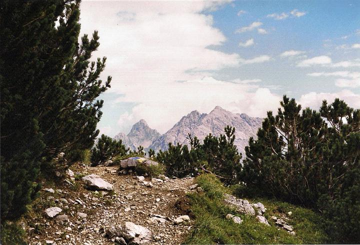 br99_amatschon_05_a.jpg - We have come up the steep climb to Gulmasteig, which we decided to take once again in 1999, instead of the more gradually climbing Palüdweg. We are looking back on the mountains on the other side of the Brandnertal.