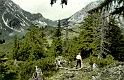 br80_gulmasteig_b