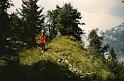 br89_gulmasteig_01_a