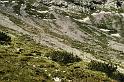 br89_gulmasteig_05x_a