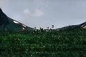 br95_bettlerweg_03_c