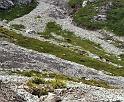br98_gemsen_cr