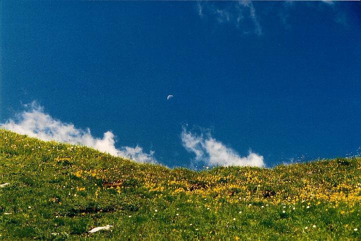 br93_golmer_05.jpg - The flowery field on our left as we walk towards the Geisspitze.