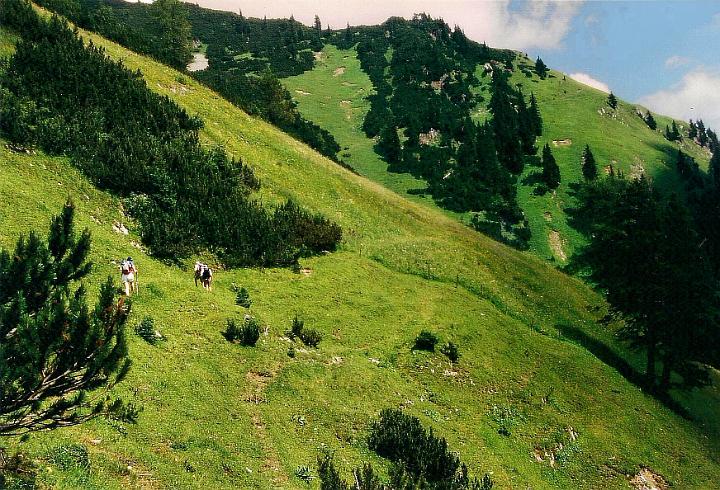 br95_oberbrueggl_03.jpg - Our friends Fritz and Renate had it in their heads that we were going to go on to somewhere, don't know where, above Obere Brüggelealp. There was really no way and we finally had to give up and come back to the Alpe.