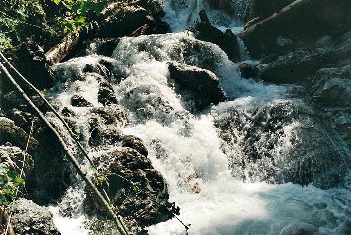 br00_sarotla_2z.jpg - In 2000, on our partial walk up to Sarotlahütte, we could see the destruction after the landslides and storms the year before. Some tree branches are dipping into the beautiful mini-waterfall here. The walk will probably never get back to its former beauty. Destruction was everywhere.